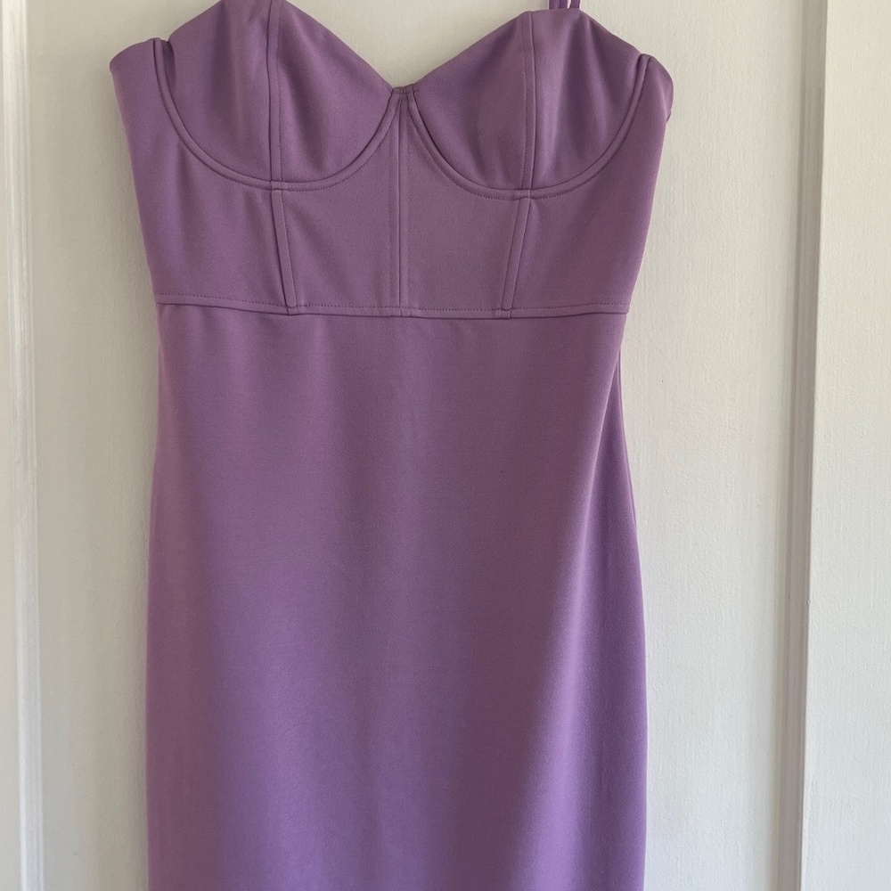 Zara Lilac Corset Style Dress Medium M